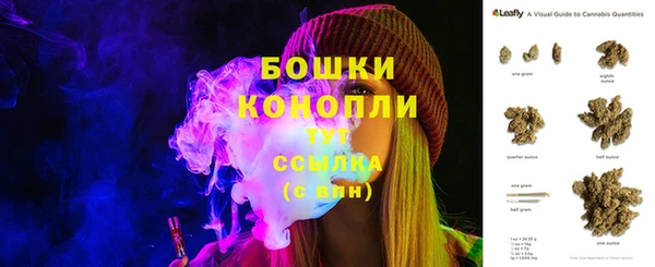 шишки Беломорск