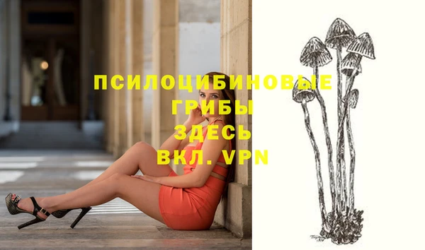шишки Беломорск