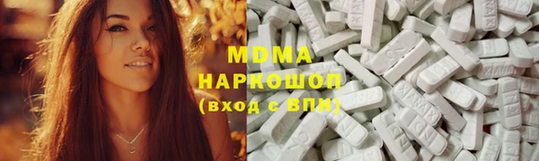 прущие грибы Белокуриха