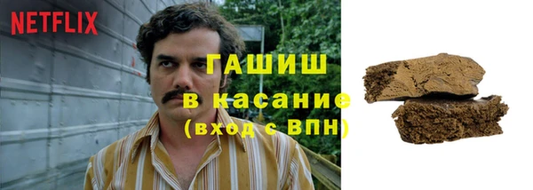 прущие грибы Белокуриха