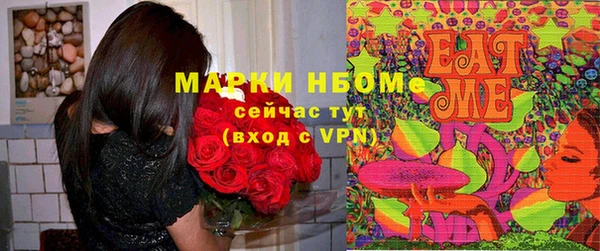 шишки Беломорск