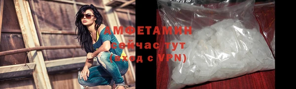 прущие грибы Белокуриха
