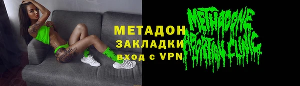 прущие грибы Белокуриха