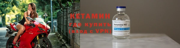 прущие грибы Белокуриха