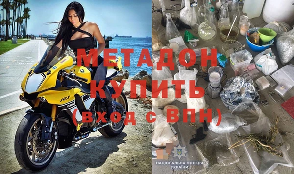 прущие грибы Белокуриха