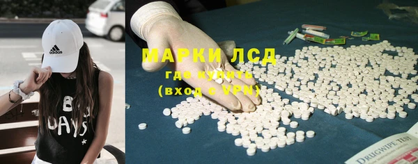 прущие грибы Белокуриха