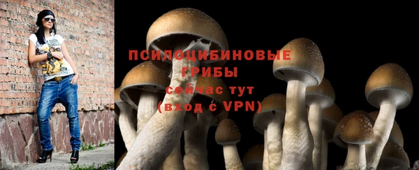 spice Белоозёрский