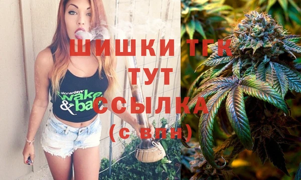 шишки Беломорск