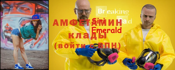 шишки Беломорск