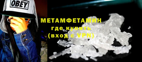 прущие грибы Белокуриха