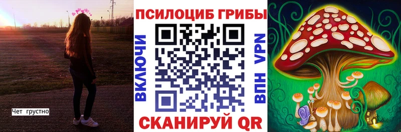 купить наркотик  Кущёвская  Галлюциногенные грибы мицелий 